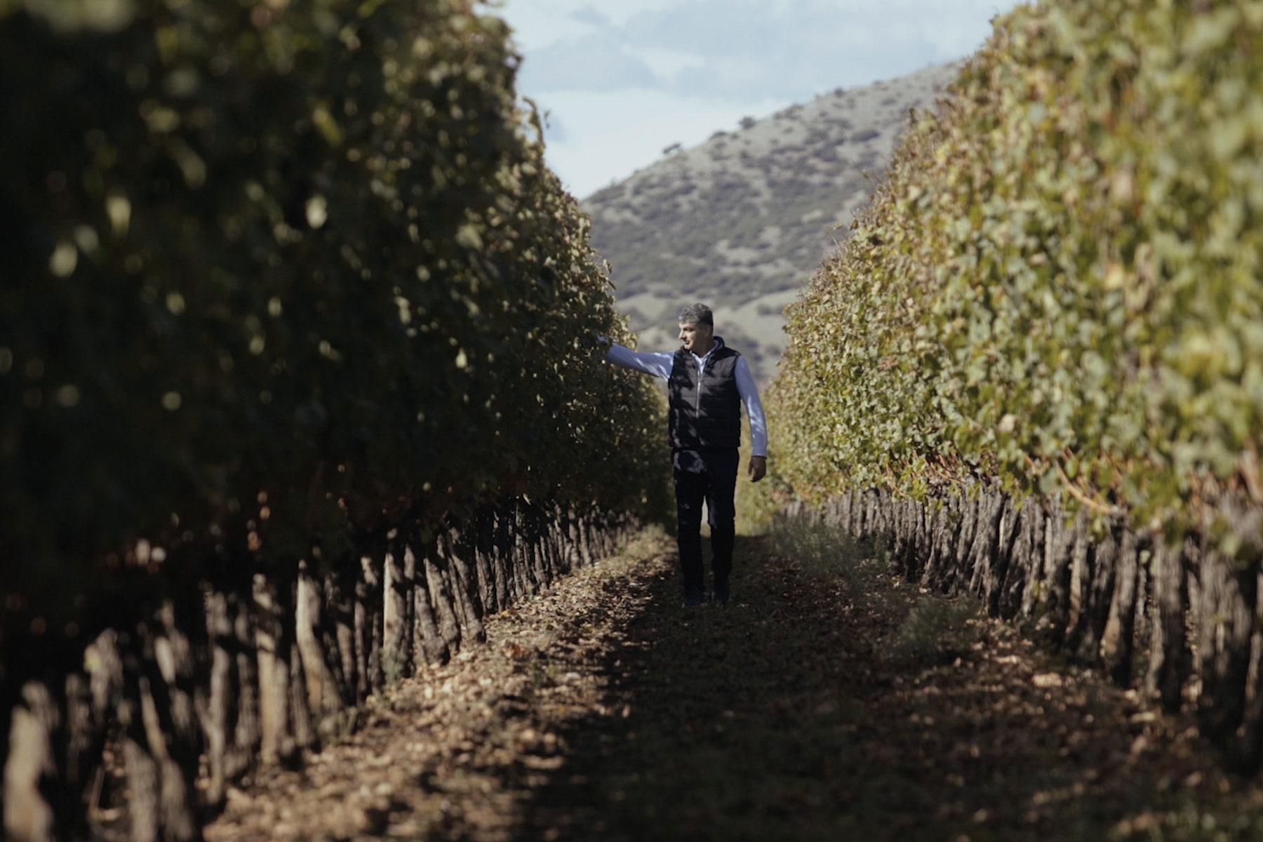 migas-vineyard-1